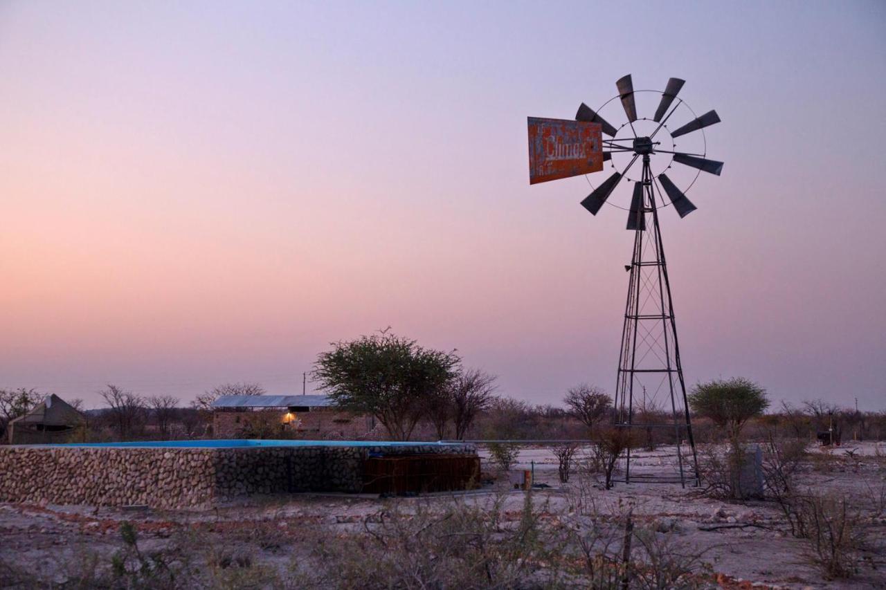 ホテル Etosha Trading Post Campsite オカウクエジョ エクステリア 写真